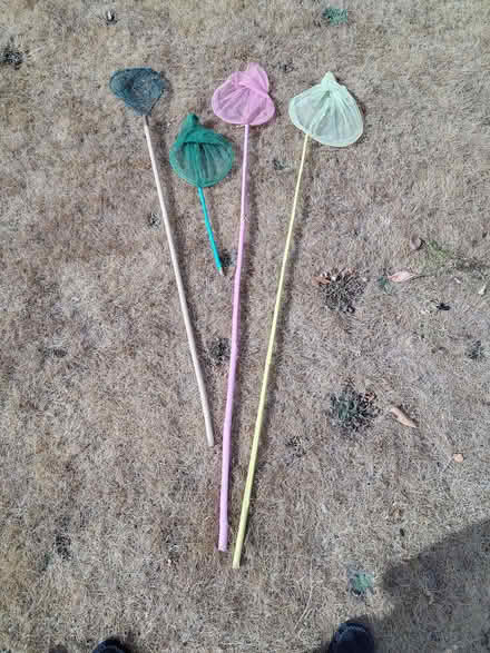 Photo of free Kids pond-dipping nets (Ringwood BH24) #1