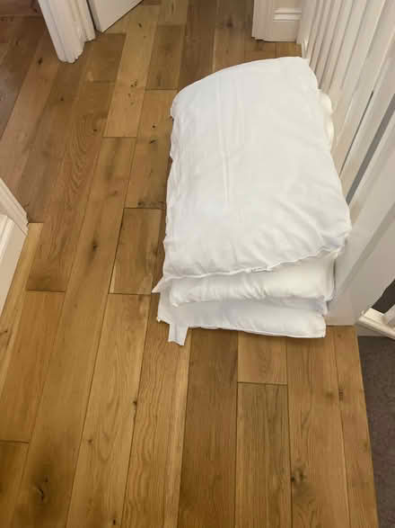 Photo of free 4 Pillows (Thatcham RG18) #1