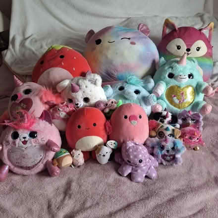 Photo of free Squishmallow and rainbowcoens (Hoylake CH47) #1