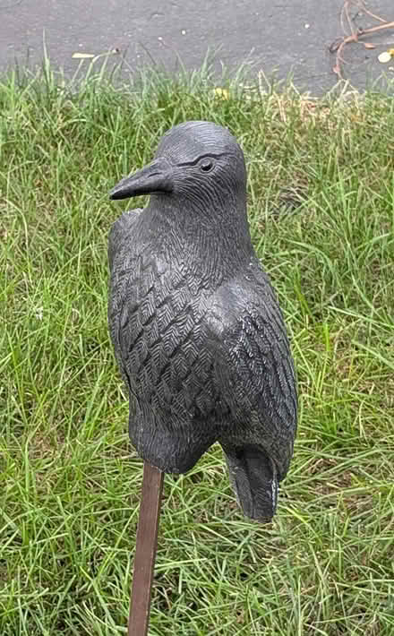 Photo of free Plastic Bird on Stick (Prospect Hts) #1