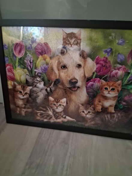Photo of free Cat fan framed puzzles (Snell and Santa Teresa) #2