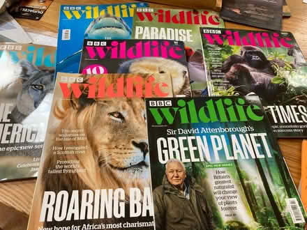 Photo of free Wildlife Magazines (Bear Flat BA2) #1