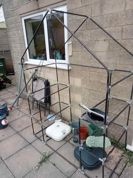 Photo of free Plastic Greenhouse (Southdown) #1