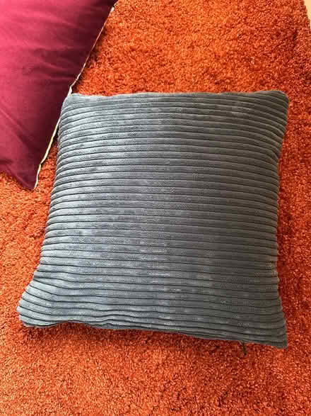 Photo of free 1 x blue cushion (LA1 Bowerham) #1