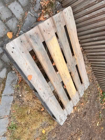 Photo of free wooden pallet (Headington OX3) #2