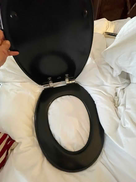 Photo of free Black bemis toilet seat (Wheatley OX33) #2
