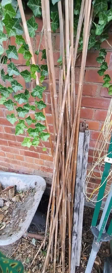 Photo of free plant support canes (Gorse Hill M32) #1