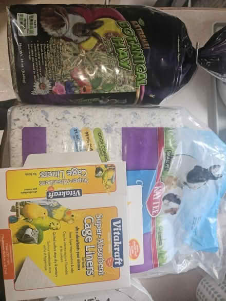 Photo of free Guinea Pig Supplies (Worcester) #1