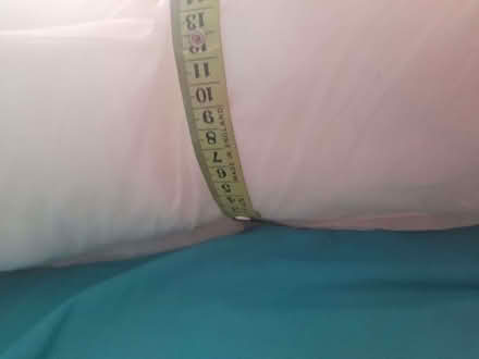 Photo of free Two sofa cushions (Montpelier Road area BN1) #1