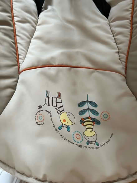 Photo of free Baby bouncer (Kingswood KT20) #4