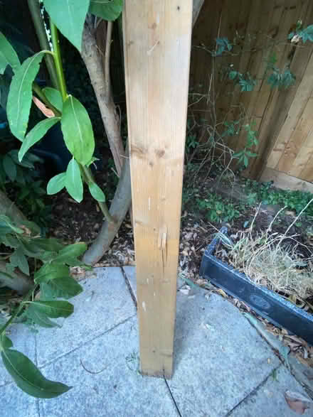 Photo of free Wood (Writtle CM1) #2