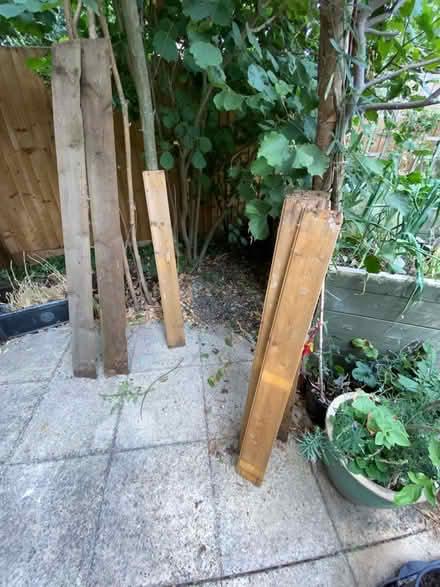 Photo of free Wood (Writtle CM1) #4