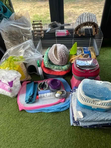 Photo of free Lots of small animal accessories (Goring BN11) #1