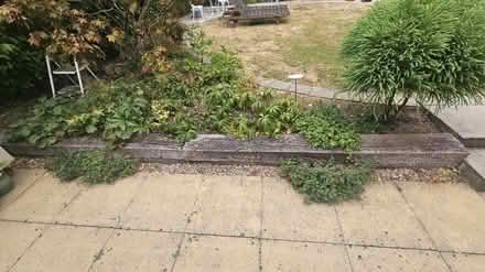 Photo of free 21m of Oak sleepers 10" x 6" (Southwater RH13) #4