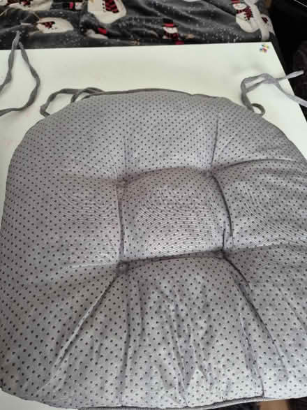 Photo of free 2 x dining chair cushions (Wolverhampton WV10) #2