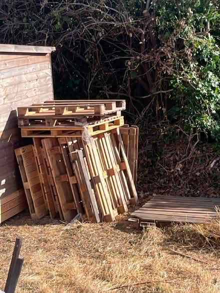 Photo of free Pallets (brixham devon TQ5) #1