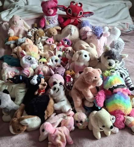 Photo of free Collection of soft toys (Hoylake CH47) #1
