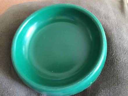 Photo of free Pet feeding bowl (Canterbury CT2) #1