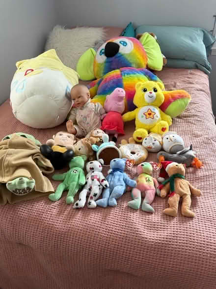 Photo of free Stuffed toys (Near Montrose Rd and 270) #1