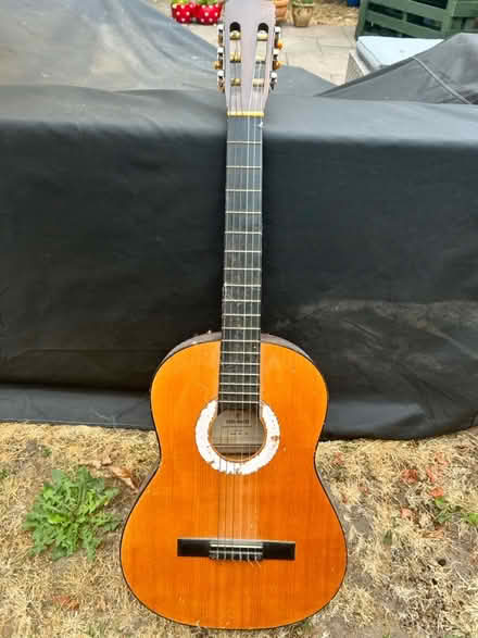 Photo of free Guitar (Wargrave RG10) #1