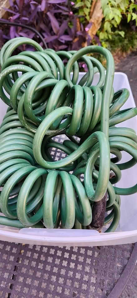 Photo of free Coil garden hose (Cap Hill 20002) #1