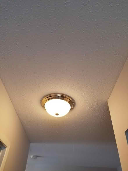 Photo of free Ceiling lights (Hunt Club) #3