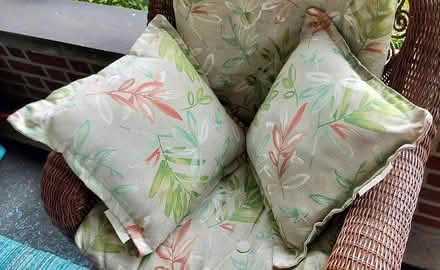 Photo of free Patio cushions (Highland Park) #3