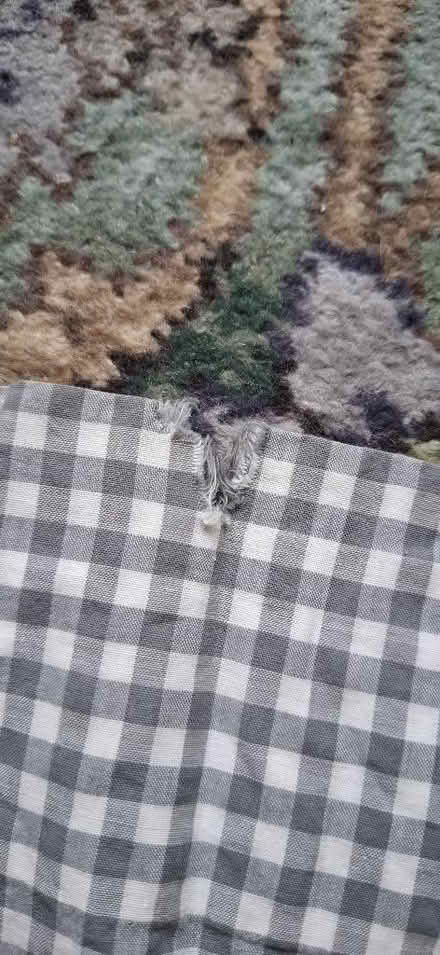 Photo of free Curtains (2 matching pairs) (Harrogate HG1) #3
