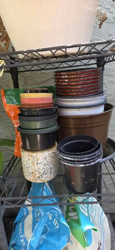 Photo of free Assorted plant pots (Hayward , Cherryland by Target) #2