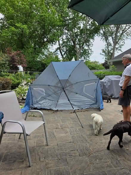 Photo of free Sportbrella (Shrewsbury) #1