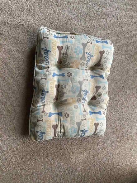 Photo of free Small dog cushion (Greenhill DY10) #1