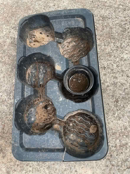 Photo of free Various plant pots (S7 Carter knowle) #2