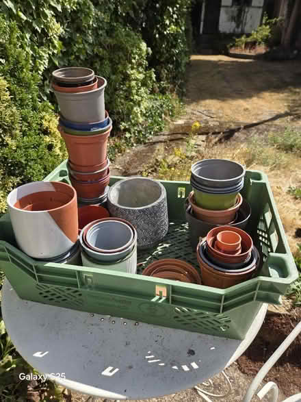 Photo of free Plant pots (B71) #1