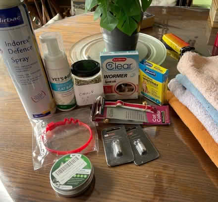 Photo of free cat items (Sole Street DA13) #1
