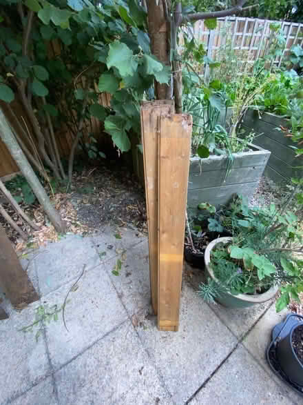 Photo of free Wood (Writtle CM1) #3