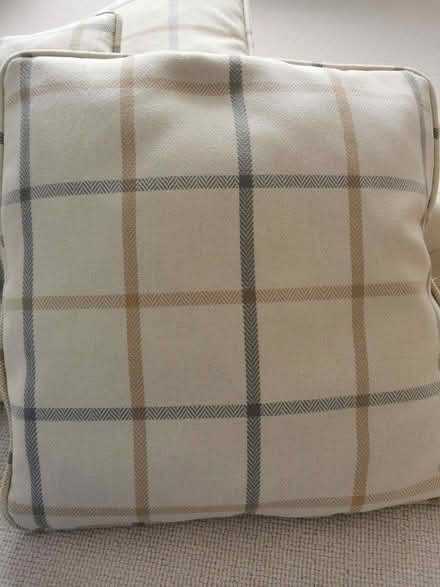 Photo of free 4 cushions (Brandwood End B14) #3