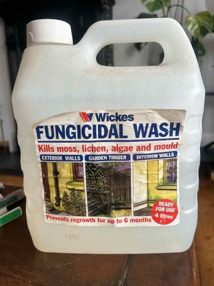 Photo of free Fungicidal Wash - For mould (Mitcham CR4) #1