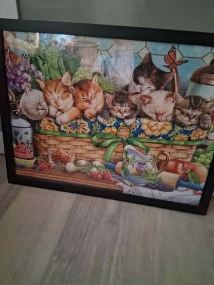 Photo of free Cat fan framed puzzles (Snell and Santa Teresa) #4