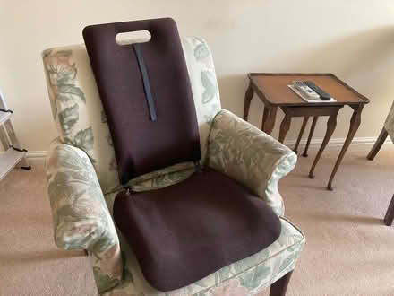 Photo of free Backfriend back support (Upper Pickwick SN13) #1