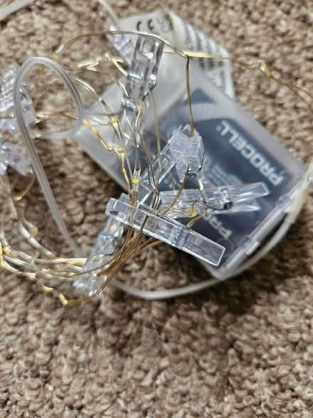 Photo of free Fairy lights with pegs (Riddlesdown CR8) #1