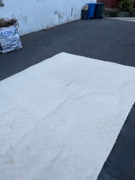 Photo of free Oatmeal/cream/beige carpet (Newtownards BT23) #3