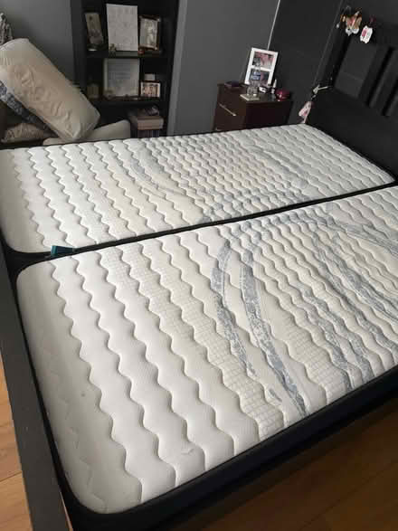 Photo of free 2 mattresses (Enfield EN3) #2