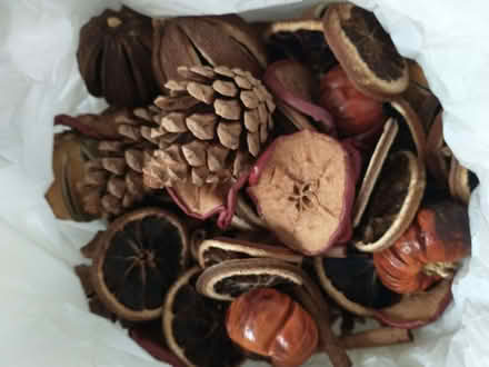 Photo of free Pot Pourri (Drum Brae EH4) #1