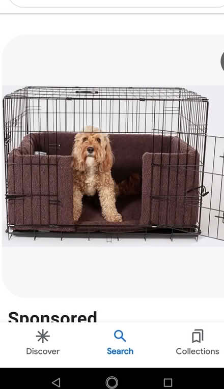 Photo of Dog crate (Poulton CH44) #1