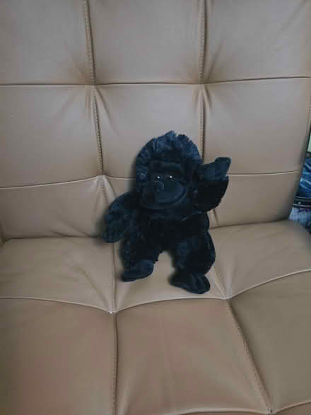 Photo of free WWF Stuffed toy gorilla (Carshalton sm1) #1
