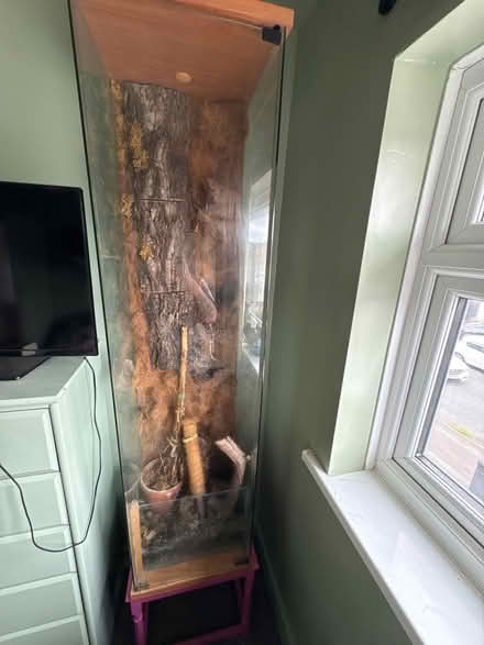 Photo of free Terrarium (Mackworth Estate DE22) #2