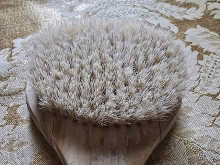 Photo of free Long Wooden Brush (West 7th) #4