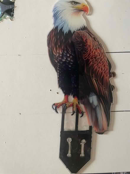 Photo of free Nuisance bird deterrents (Clayton brook PR5 8) #1