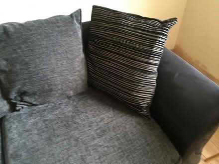 Photo of free Soft (Portslade Brighton) #4