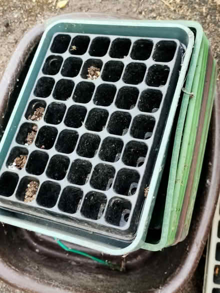 Photo of free Plastic pots and seed trays (Leatherhead KT22) #2
